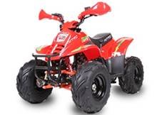 quad bigfoot 125cc