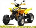 acheter-pas-cher-quad-shineray-homologue-route-300.jpg
