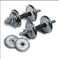 musculation-halteres.jpg