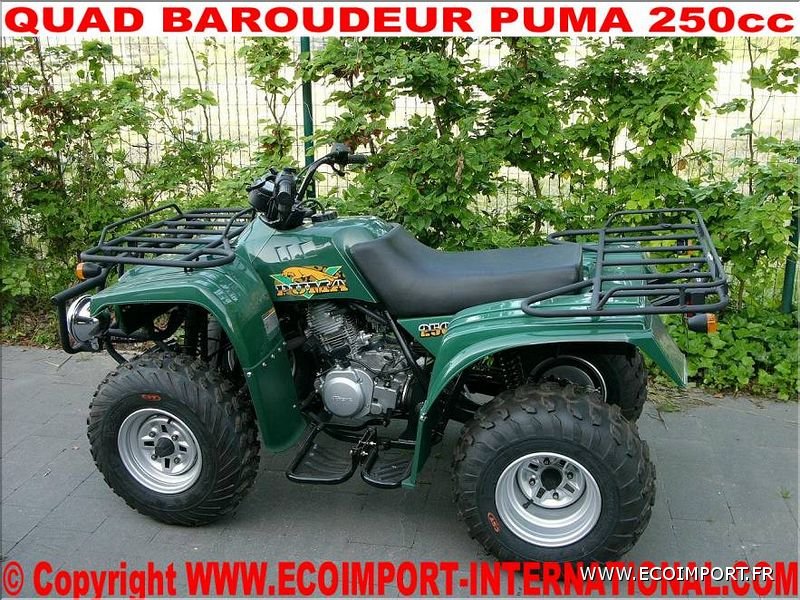 vente-de-quad-baroudeur-puma-250-look-yamaha.jpg