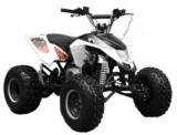 quad 50cc homologue route furious pas cher