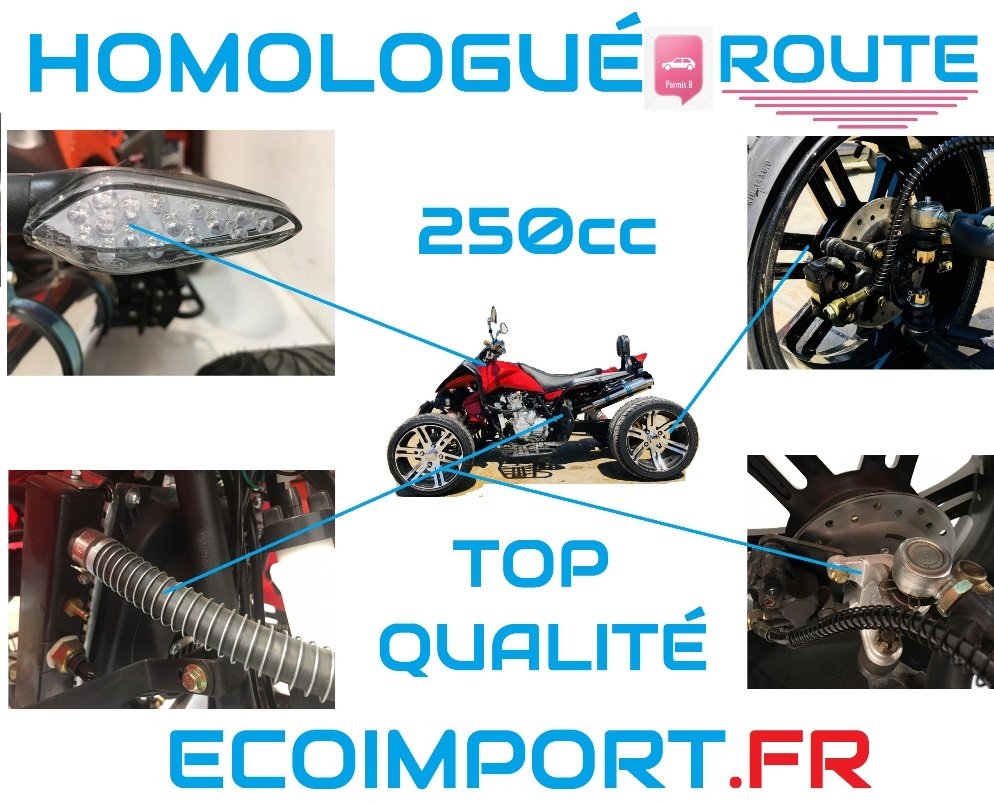 quad homologue permis b