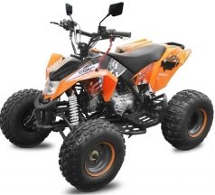 vente quad homologue route adulte pas cher