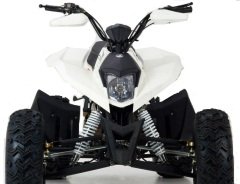 quad routier sportif homologue route adulte pas cher