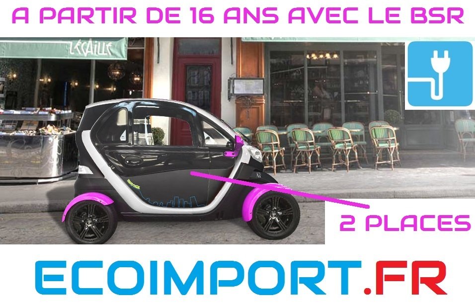 voiture sans permis electrique prix pas cher