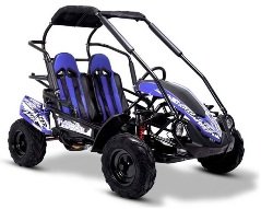 buggy cross 200cc neo pas cher