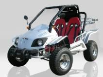 BUGGY RACER 250cc HOMOLOGUE ROUTE buggy homologue 250cc racer
