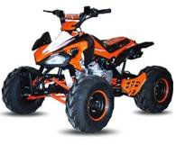 Quad Scorpion 110cc