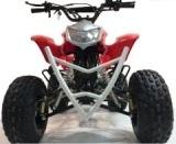vente quad 125cc xxl neo pas cher