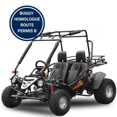 buggy adulte homologue route
