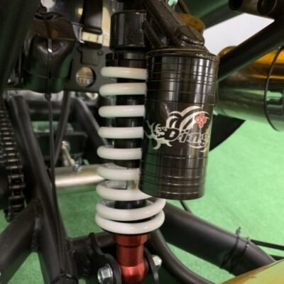 trike neo 250cc design roadster