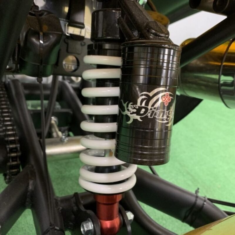 trike neo 250cc design roadster