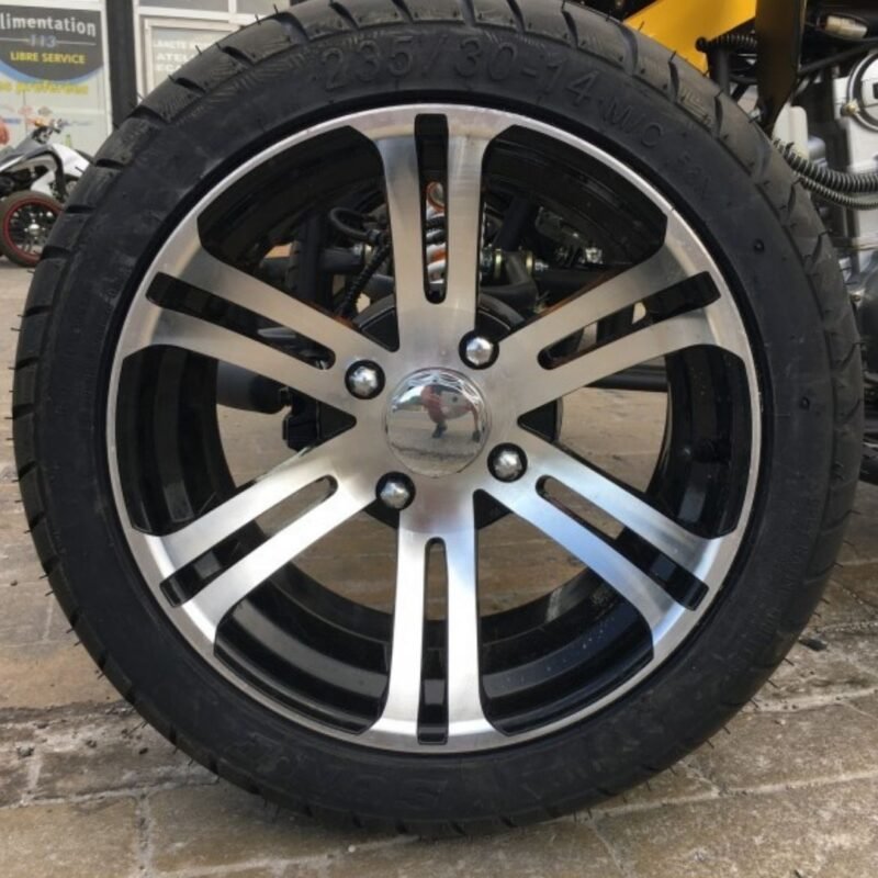 TRIKE 250cc DRIF NEO – Image 16